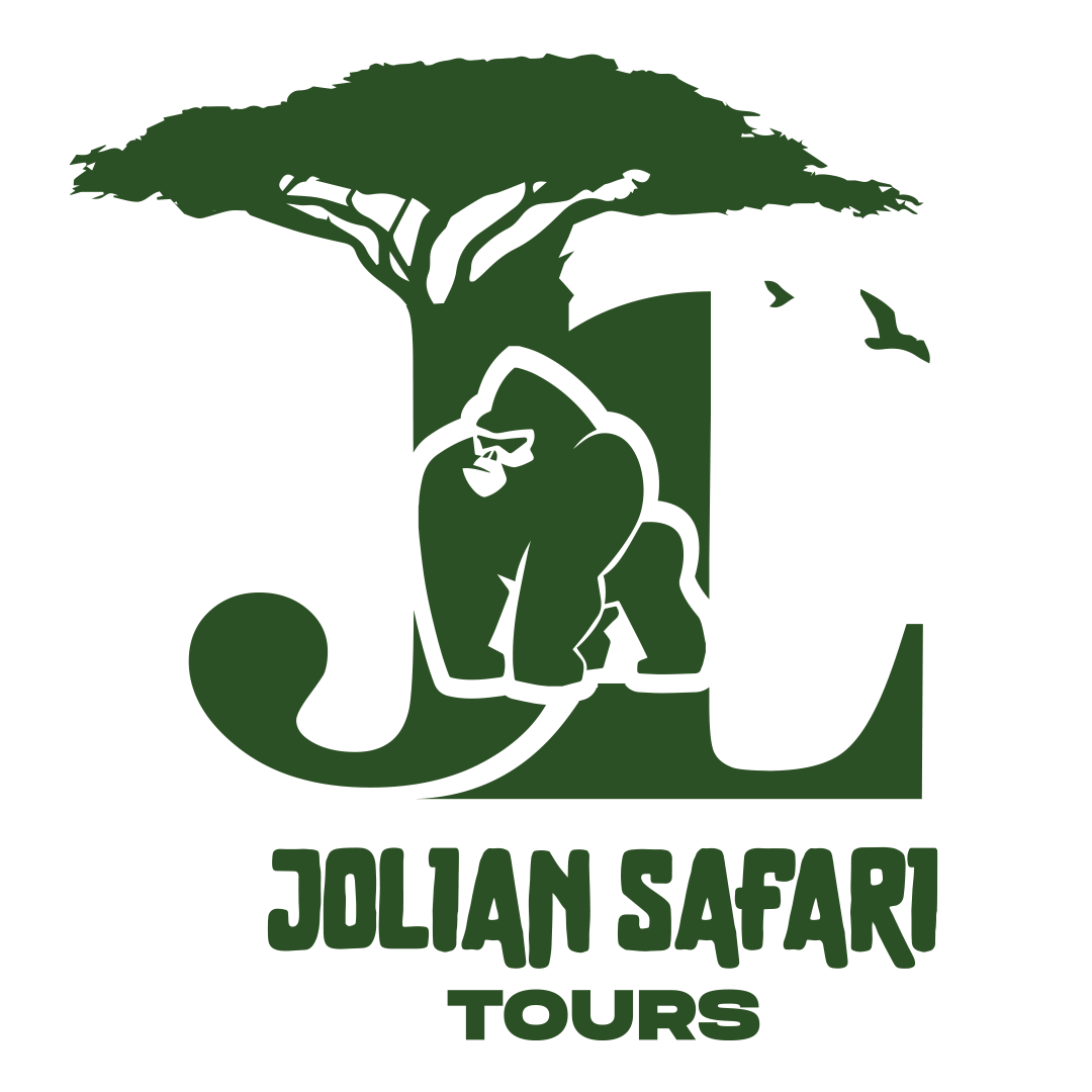 solid Jolian Safari Tours